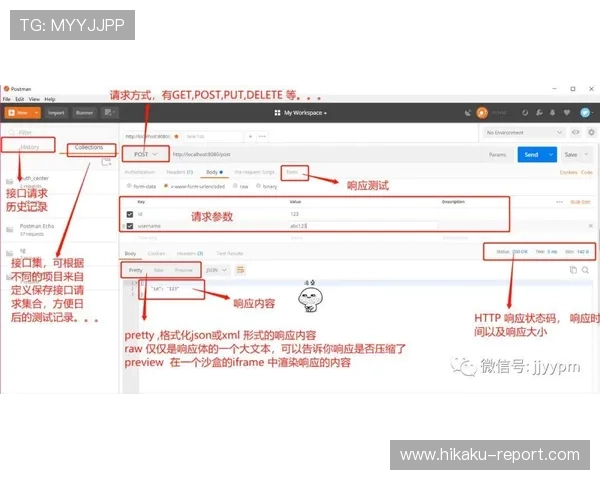 精通开云地址登录入口，提升工作效率的实用技巧